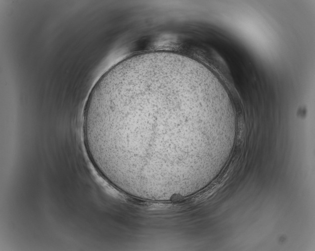 X0000097751439200803281559