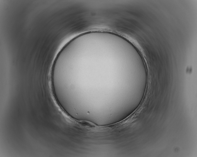 X0000097751440200803281559