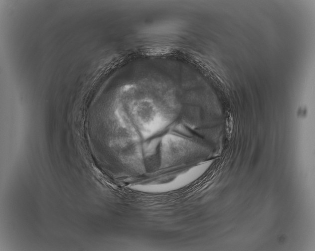 X0000097751441200803281558