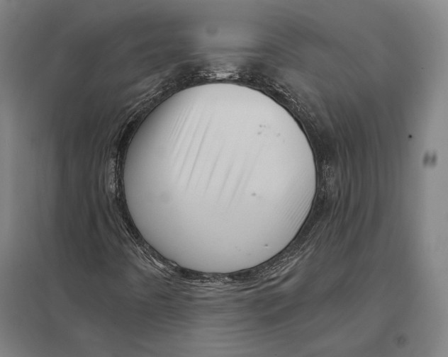 X0000097751442200803281558