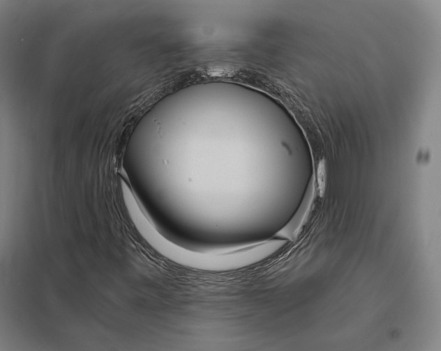 X0000097751443200803281558