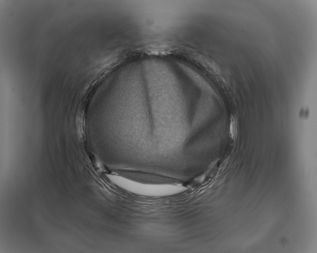 X0000097751444200803281558