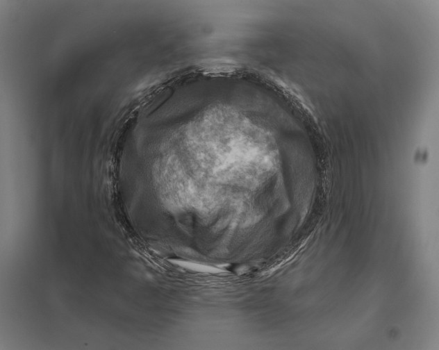 X0000097751445200803281558