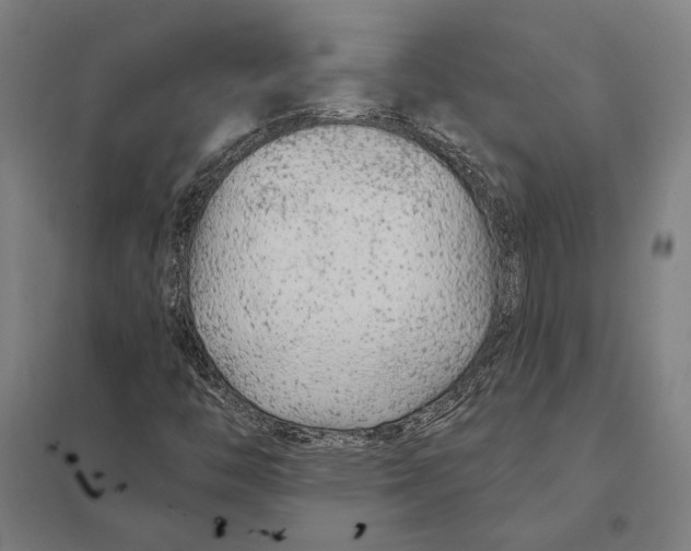 X0000097751446200803281558