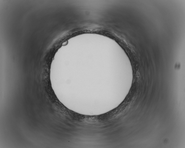 X0000097751447200803281558