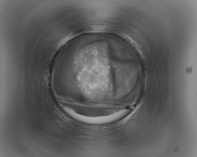 X0000097751449200803281558