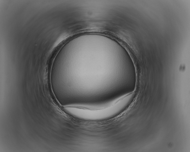 X0000097751450200803281558