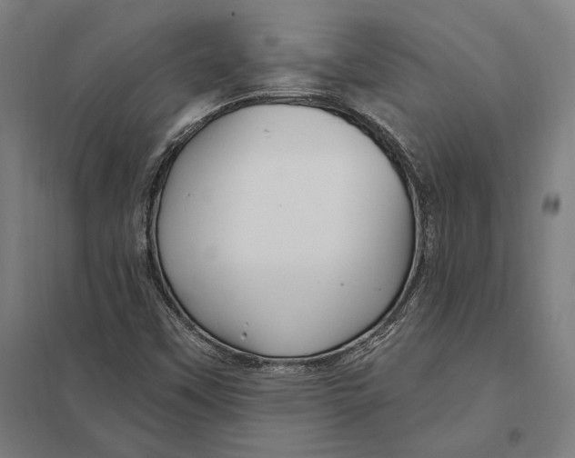 X0000097751451200803281558