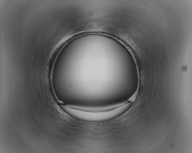 X0000097751452200803281558