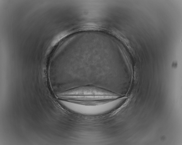 X0000097751453200803281558