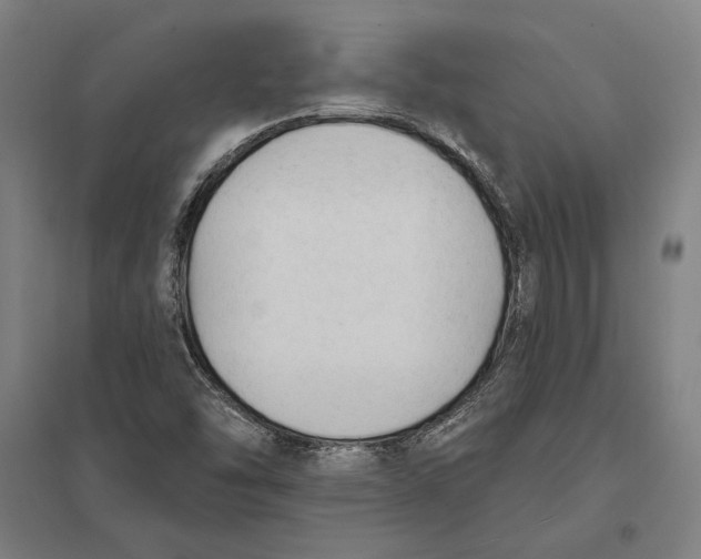 X0000097751454200803281558