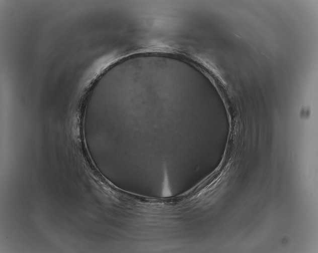 X0000097751455200803281558