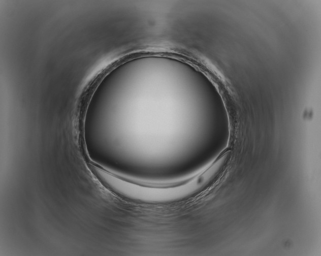 X0000097751456200803281558