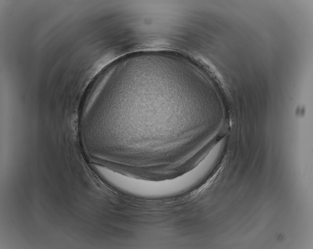 X0000097751457200803281558