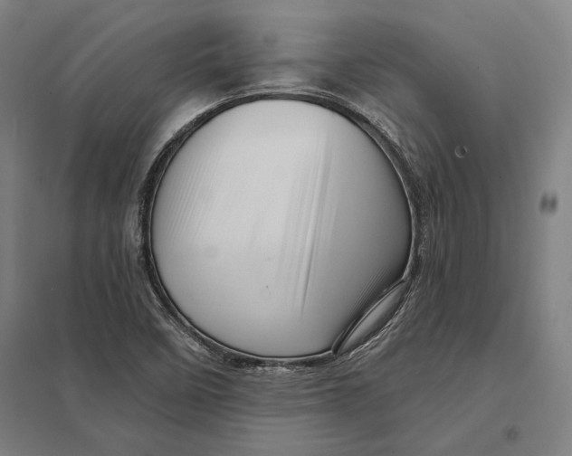 X0000097751458200803281558