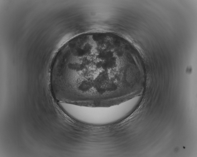 X0000097751459200803281558