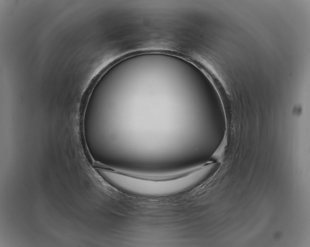 X0000097751460200803281558