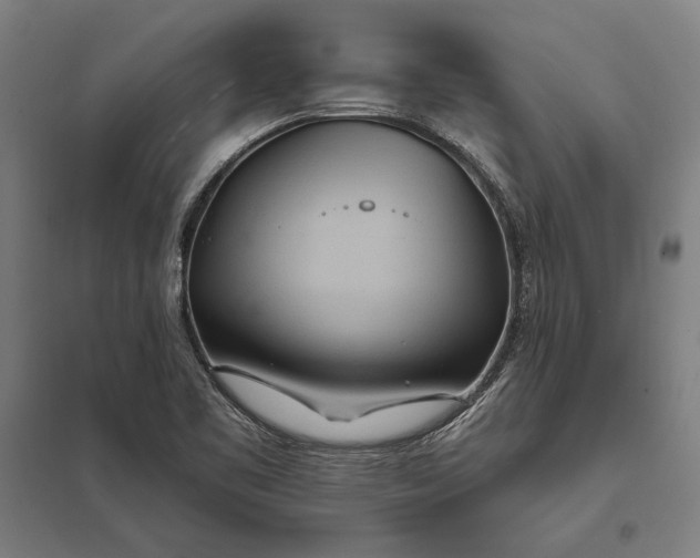 X0000097751461200803281558