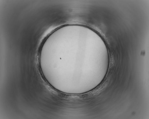 X0000097751462200803281558