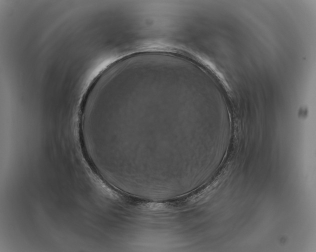 X0000097751463200803281558