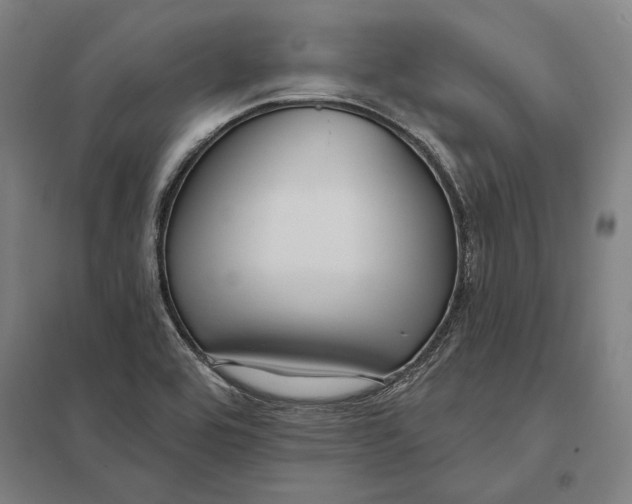 X0000097751464200803281558