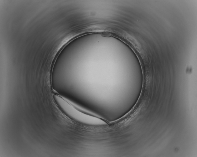 X0000097751465200803281558