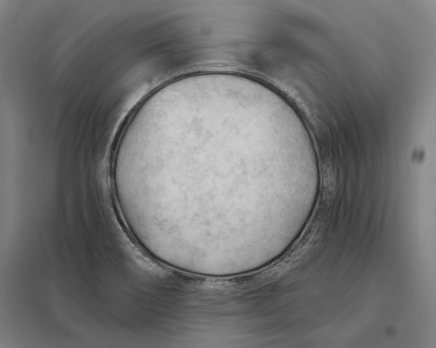 X0000097751466200803281558