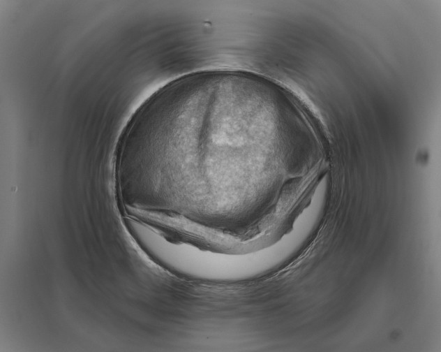 X0000097751468200803281558