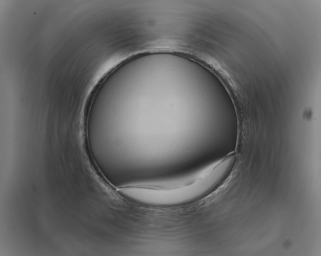 X0000097751469200803281558