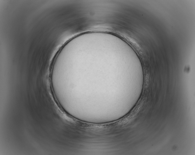 X0000097751470200803281558