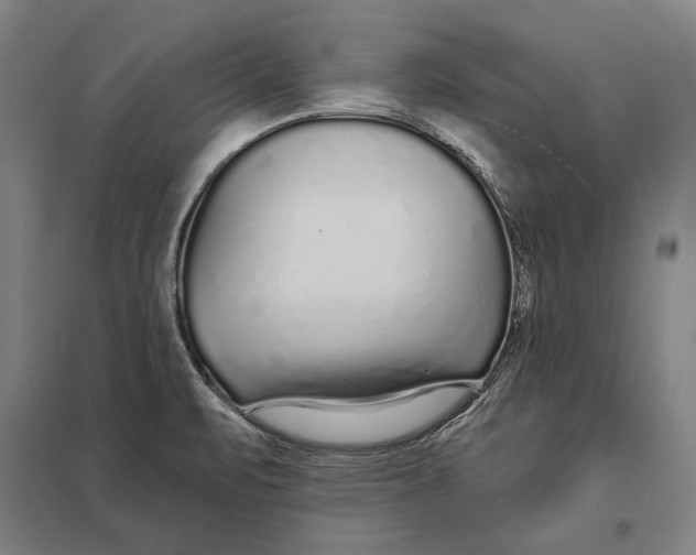 X0000097751471200803281558