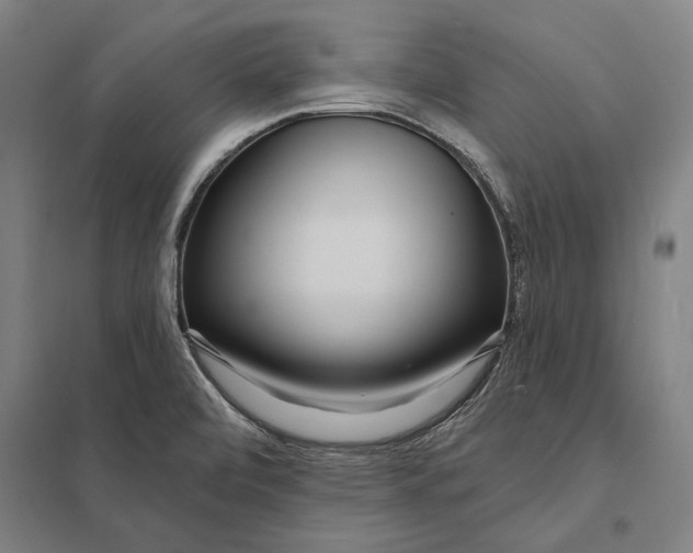 X0000097751472200803281558