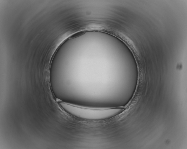 X0000097751473200803281558