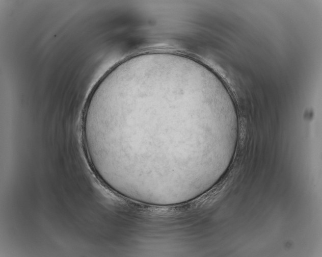 X0000097751474200803281558