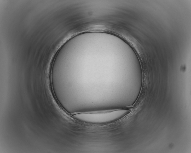 X0000097751475200803281558