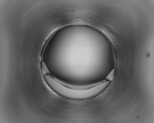 X0000097751476200803281558