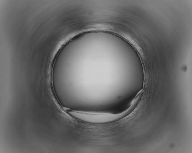 X0000097751477200803281558