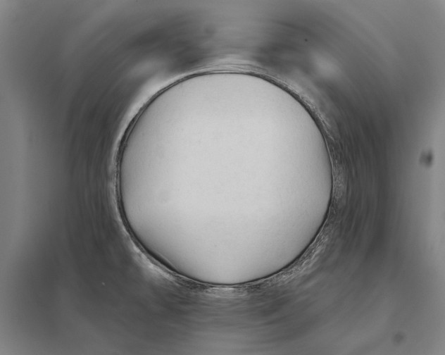 X0000097751478200803281557