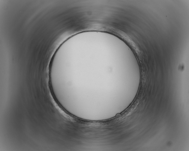 X0000097751479200803281557