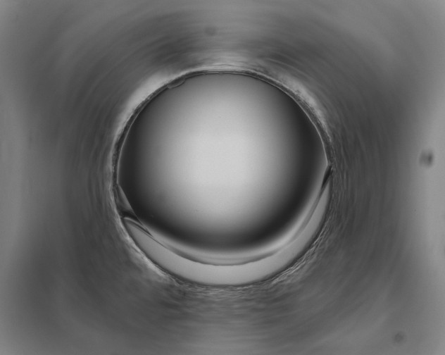 X0000097751480200803281557