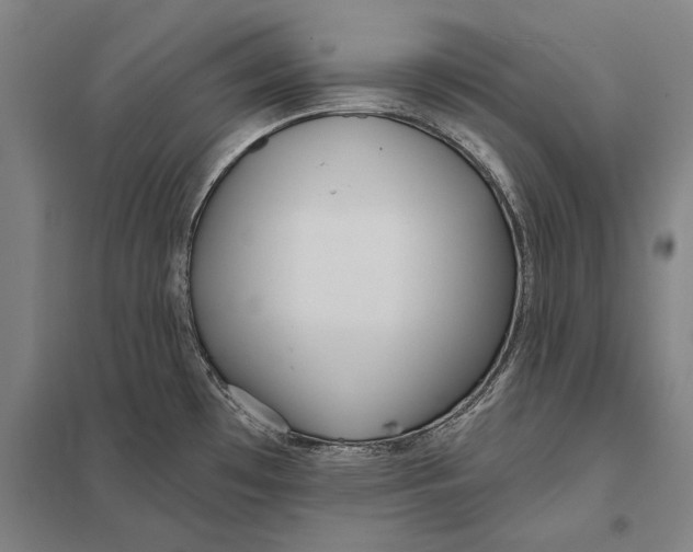 X0000097751481200803281557