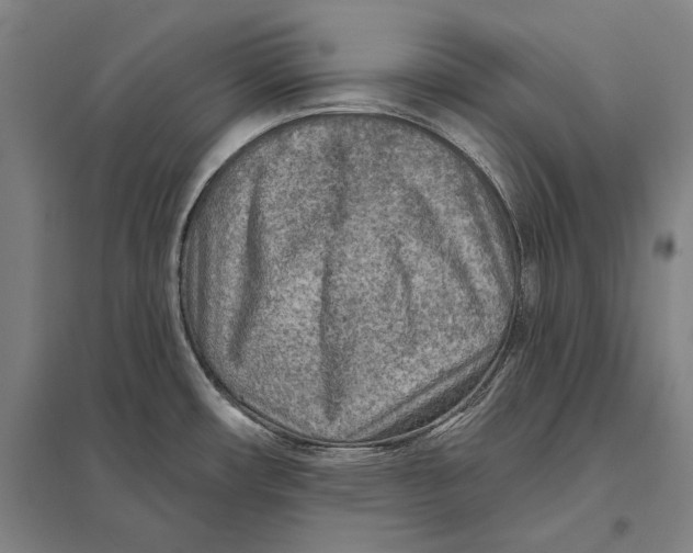 X0000097751482200803281557