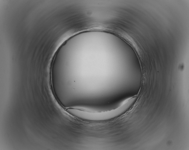 X0000097751483200803281557