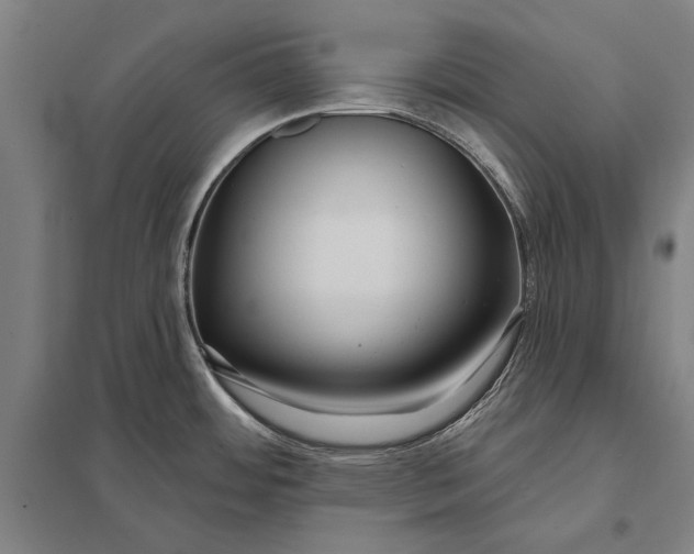 X0000097751484200803281557