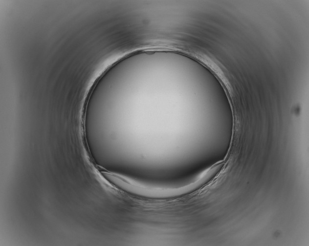 X0000097751485200803281557