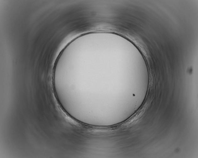 X0000097751486200803281557