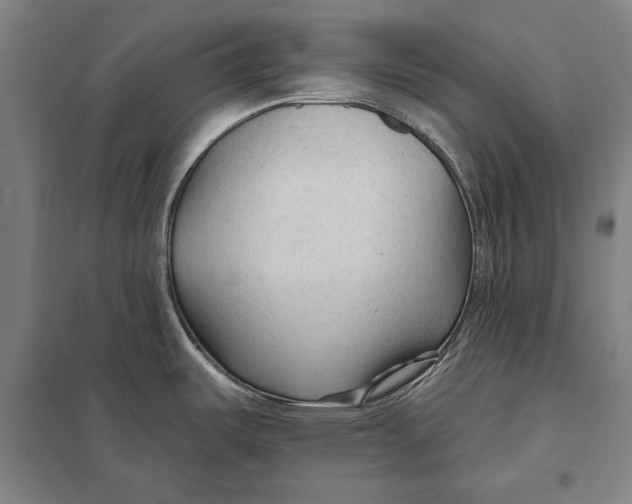 X0000097751487200803281557