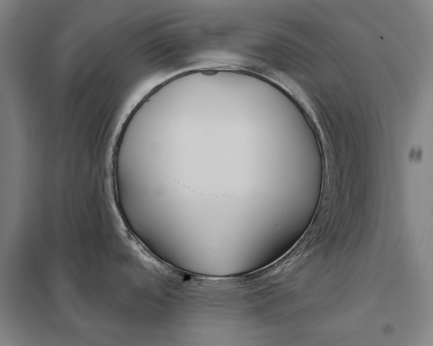 X0000097751488200803281557