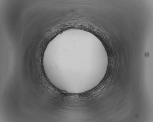 X0000097751489200803281557