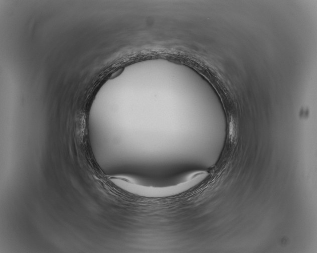 X0000097751492200803281557